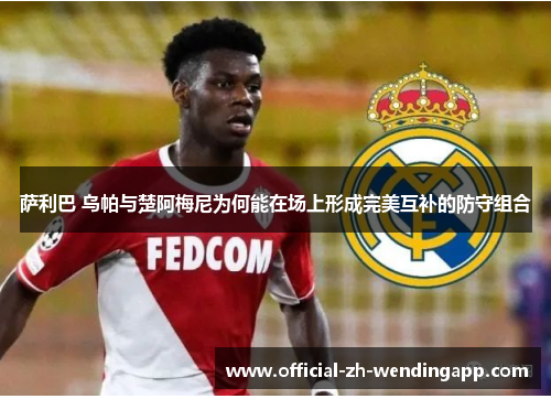 萨利巴 乌帕与楚阿梅尼为何能在场上形成完美互补的防守组合