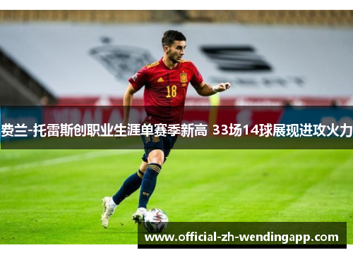 费兰-托雷斯创职业生涯单赛季新高 33场14球展现进攻火力