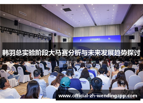 韩羽总实验阶段大马赛分析与未来发展趋势探讨