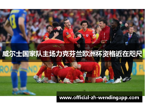 威尔士国家队主场力克芬兰欧洲杯资格近在咫尺 威尔士国家队主场力克芬兰欧洲杯资格近在咫尺