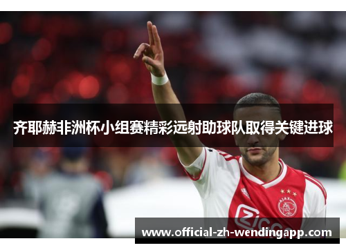 齐耶赫非洲杯小组赛精彩远射助球队取得关键进球