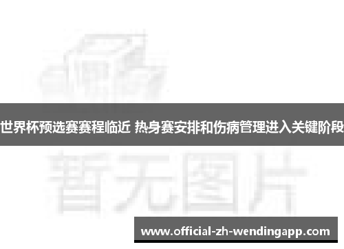 世界杯预选赛赛程临近 热身赛安排和伤病管理进入关键阶段 世界杯预选赛赛程临近 热身赛安排和伤病管理进入关键阶段