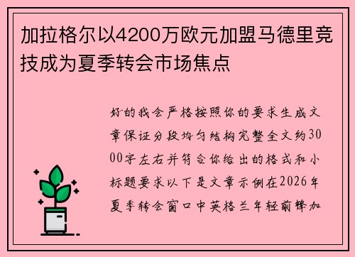 加拉格尔以4200万欧元加盟马德里竞技成为夏季转会市场焦点