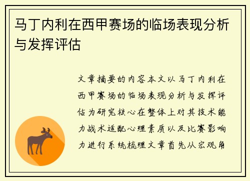 马丁内利在西甲赛场的临场表现分析与发挥评估