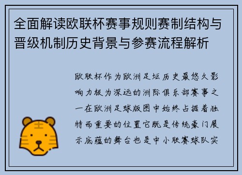 全面解读欧联杯赛事规则赛制结构与晋级机制历史背景与参赛流程解析